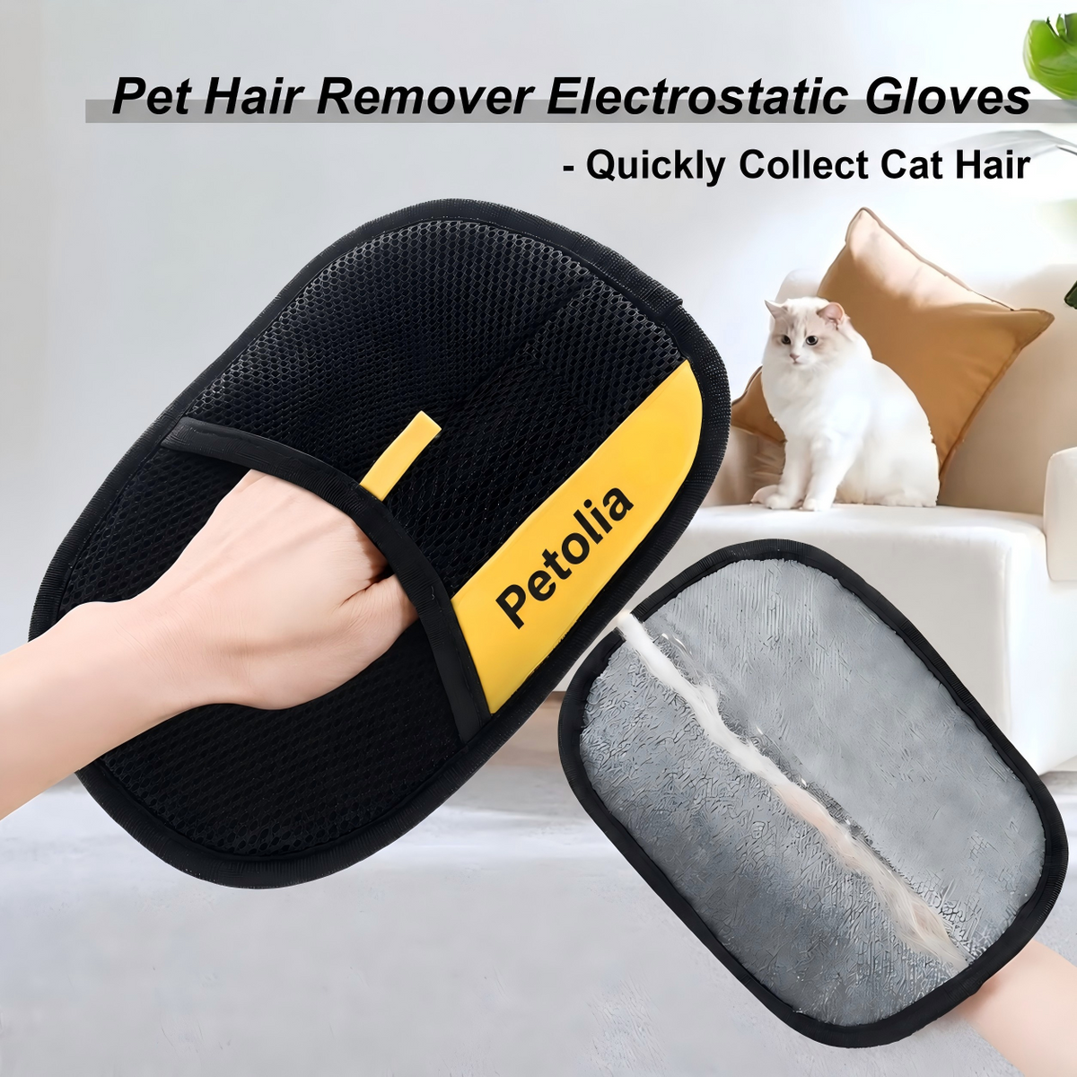 2-in-1 Pet Hair Removal Kit for Grooming, Sofas & Clothes